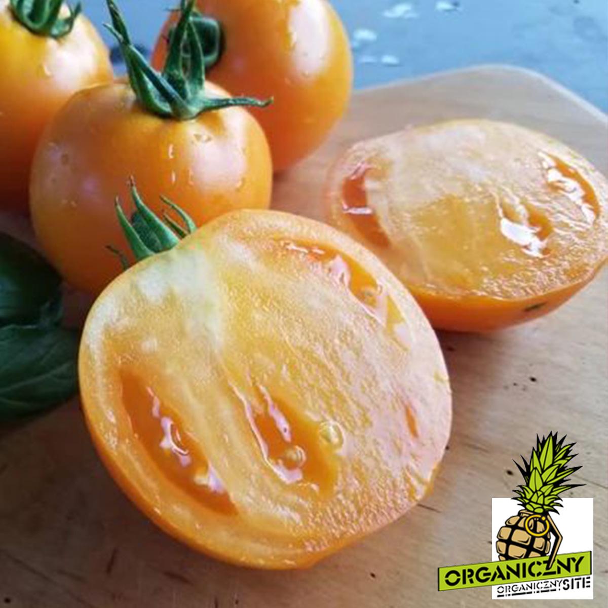 Sadzenie pomidorów: odmiana pomidora Golden Jubilee
