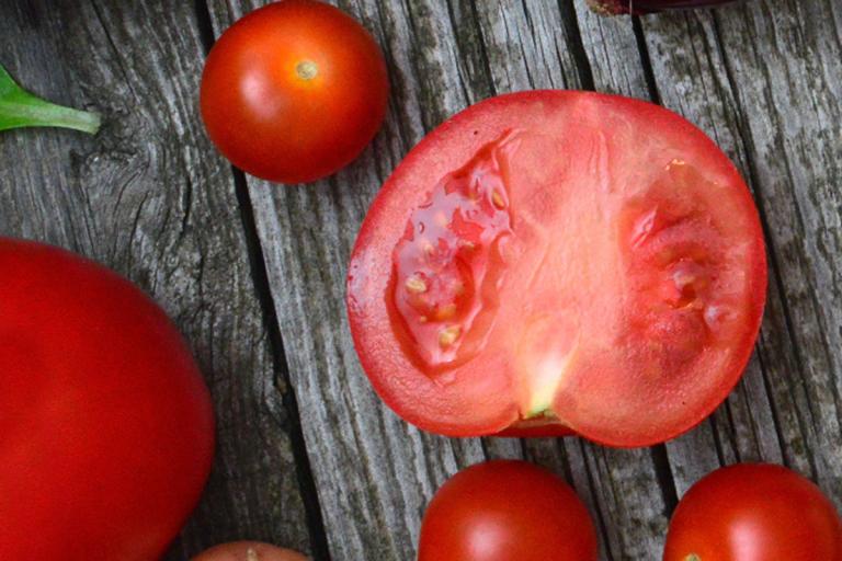 Sadzenie Pomidorów: Praktyczny Przewodnik dla Ogrodników