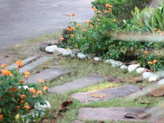 ścieżka ogrodowa - kamienie na ścieżkę ogrodową