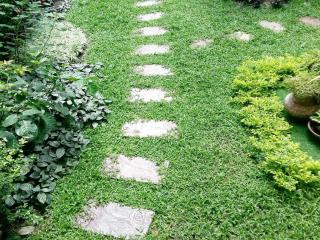 ścieżka ogrodowa - płyty na ścieżki ogrodowe